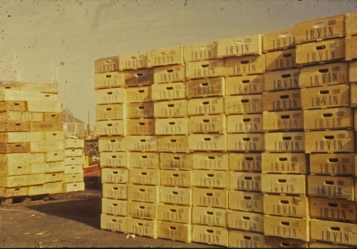 Sustainable containers for fish � wooden fish boxes
