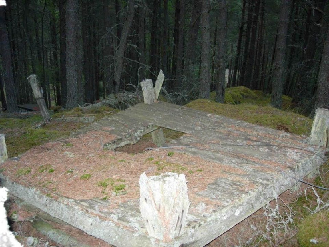 Remains of Fire tower hut on former Alltcailleach Forest