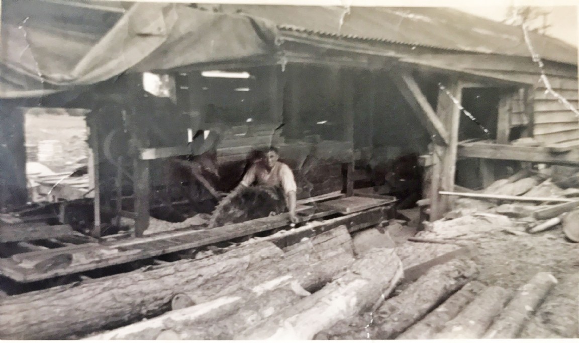 Mobile Sawmill at Balnagowan Glen, Aboyne