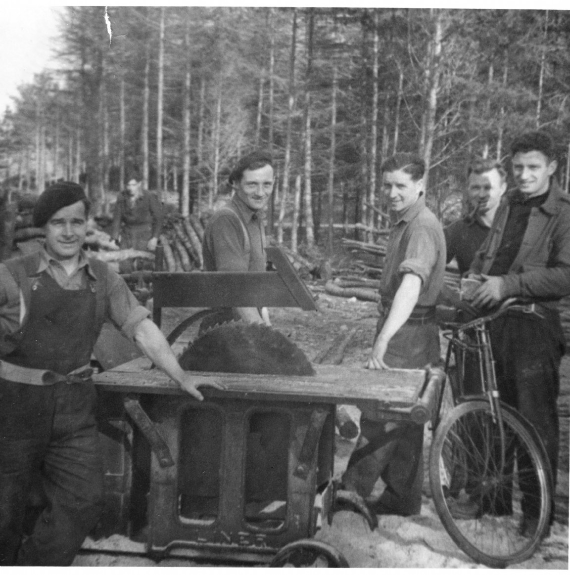 Timber harvesting team in Monaughty Forest , Morayshire