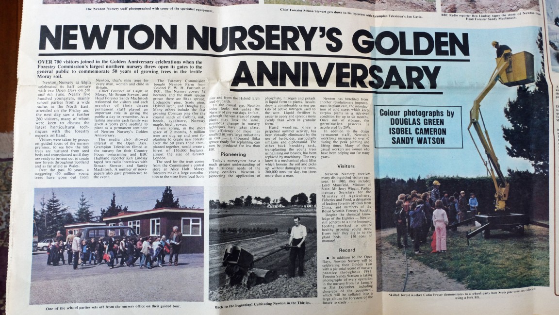 Newton Nursery Golden Jubilee � Slasher Magazine Article