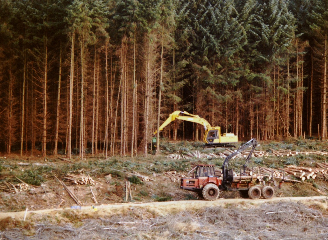 JCB JS 200 and Sylvatec harvester and Kockums 85-35 forwarder on site