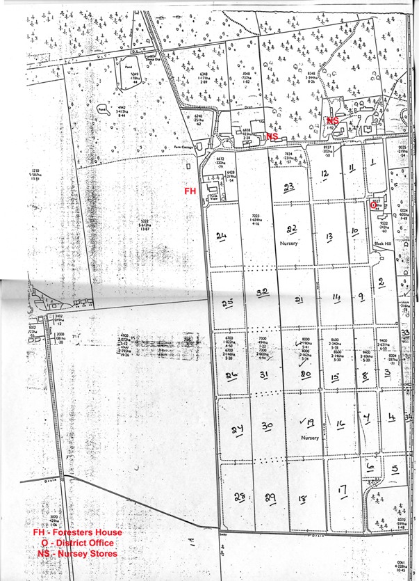 Dornoch Nursery photographic record 1987 - 1989