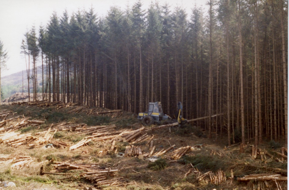 Ponsse Timber Harvester working in clearfell
