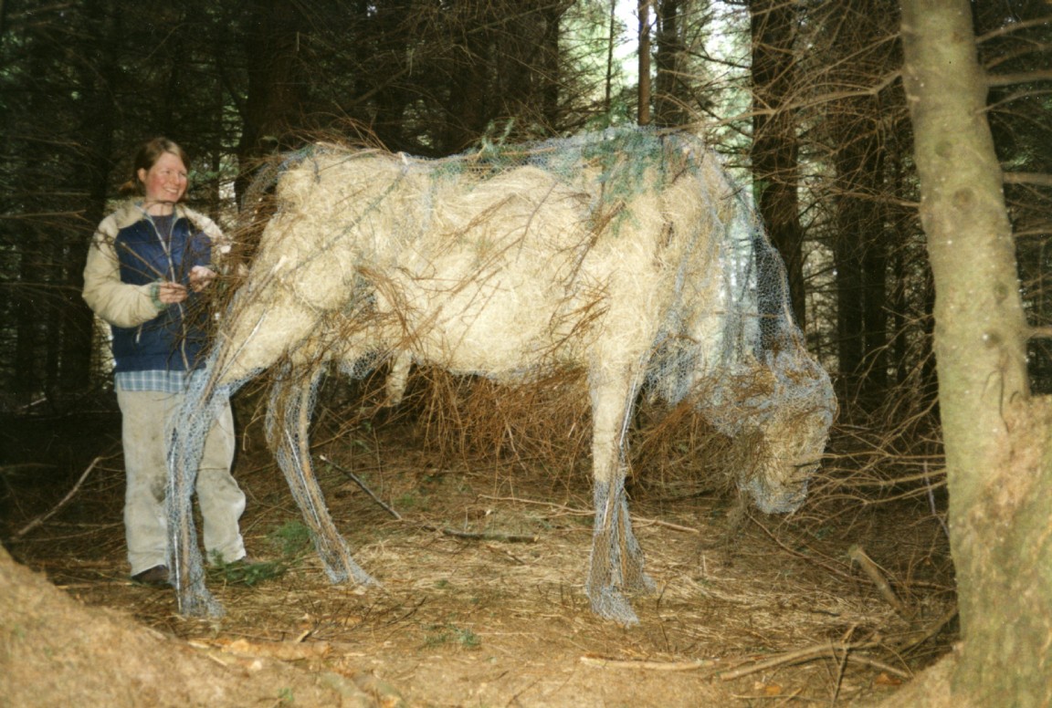 Tyrebagger Forest Sculpture Trail � Aberdeen � �Bison� Sculptures