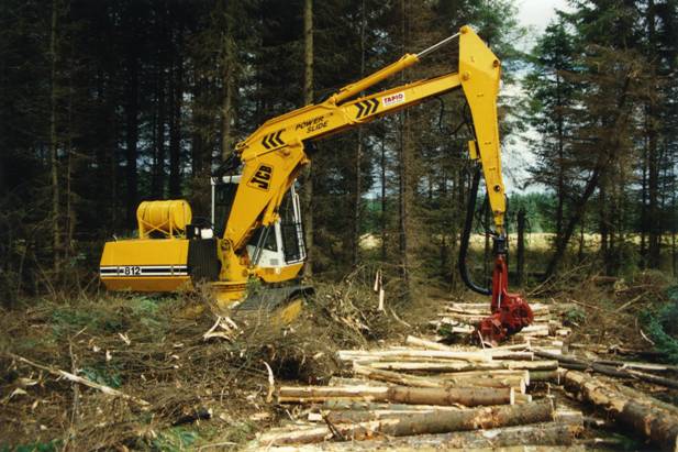 First timber clearfell in Rumster