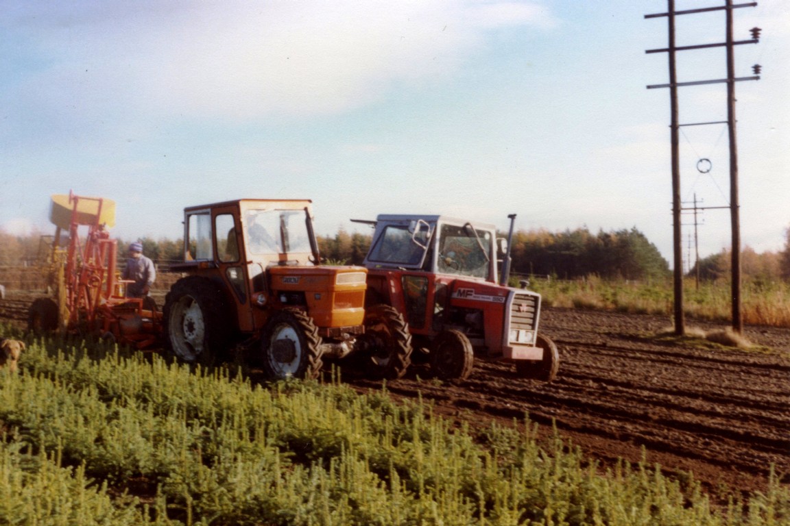 Lifting plants in Tulliallan Nursery 