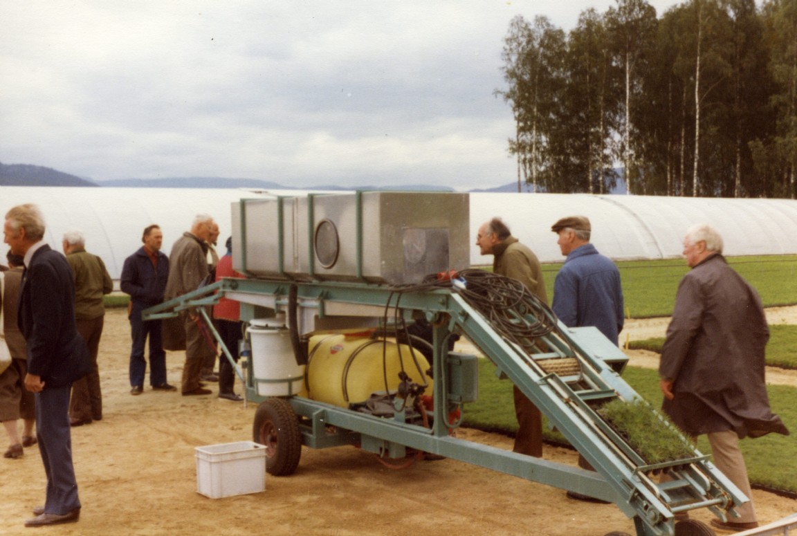 Chemical treatment of tree seedlings