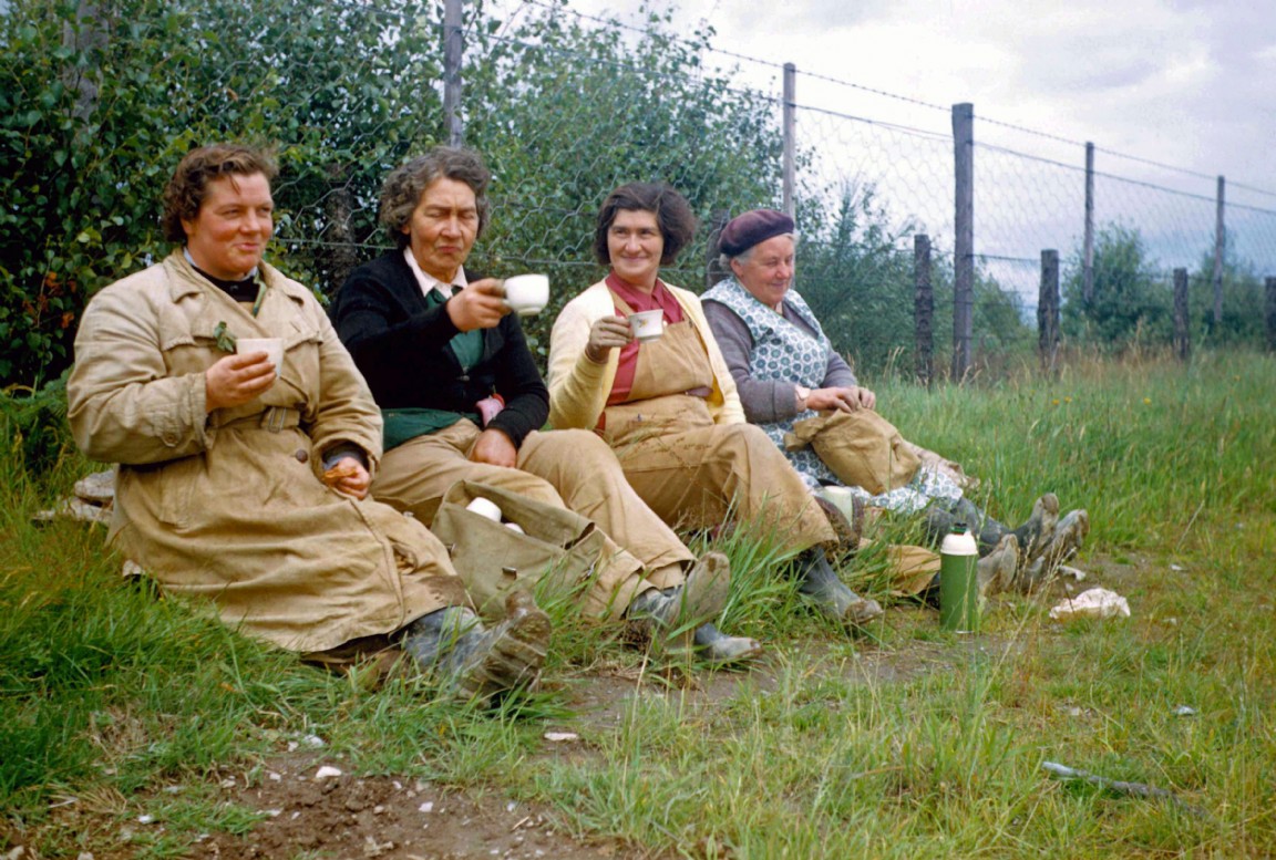 Tea break in lining out work at Ledmore Nursery 