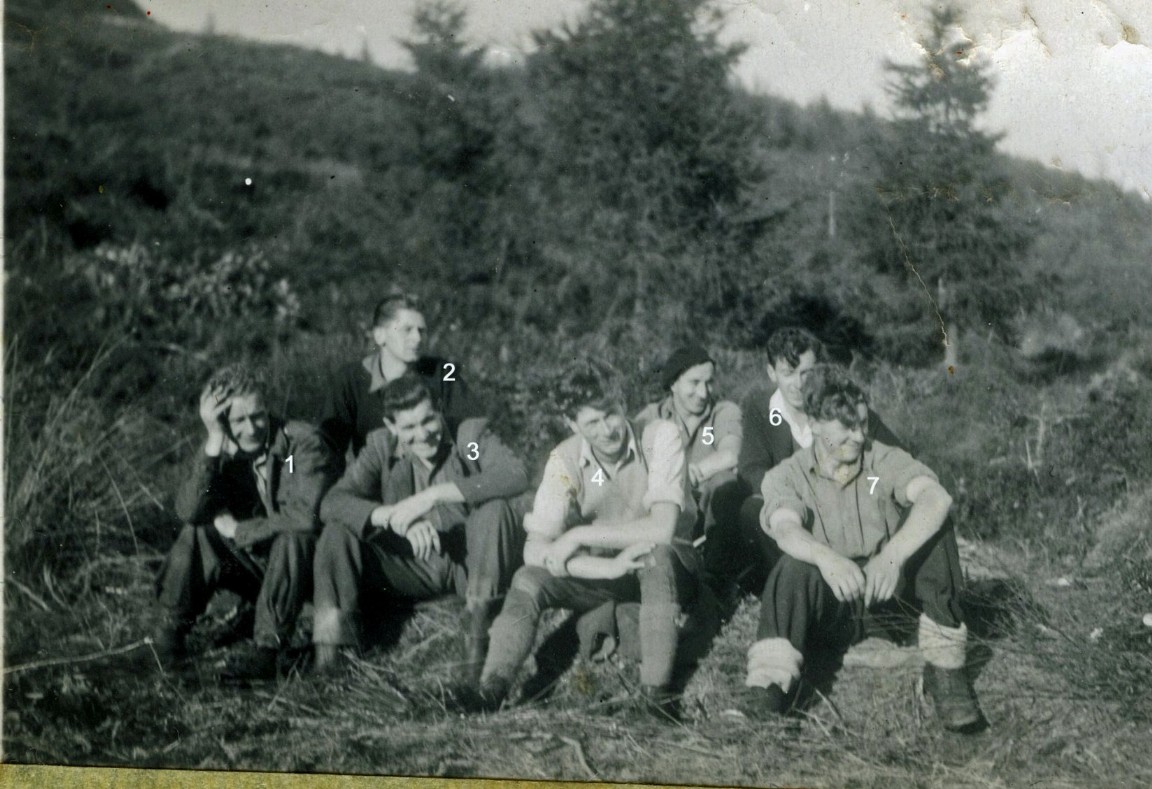 Don Wood - Forestry Career