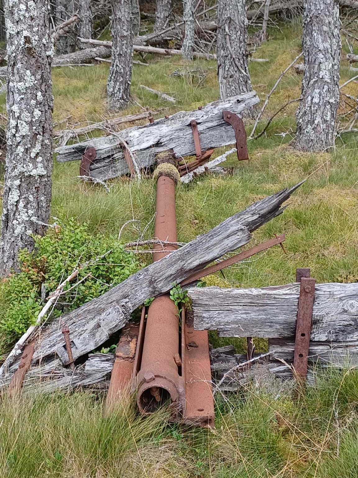 Log Pole trailer remains  � Inshriach Forest 