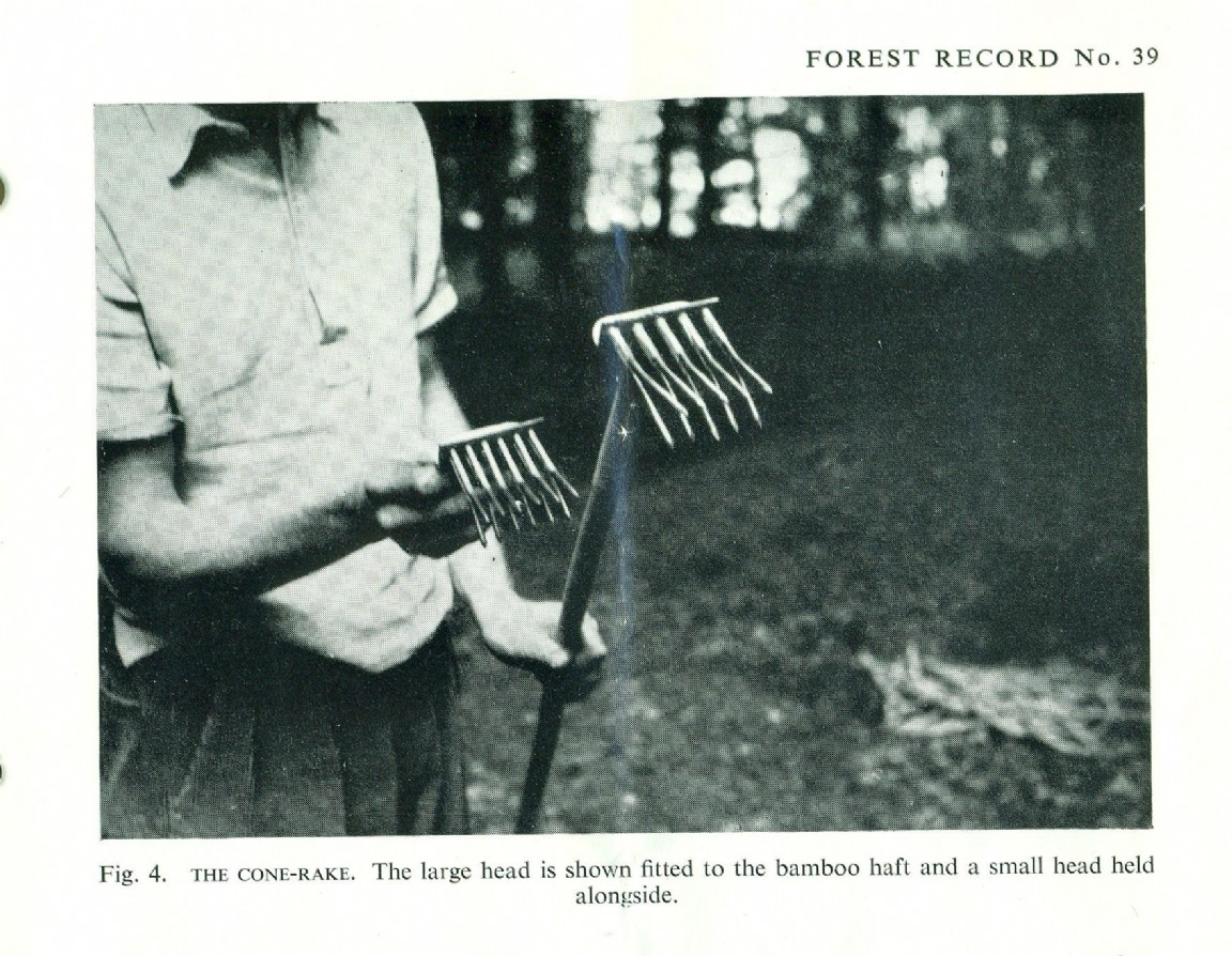 Cone gathering: The cone-rake