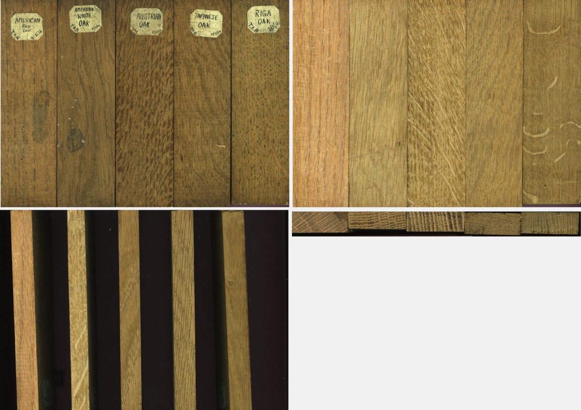 Collection of timber samples by Tom Robbie 1934