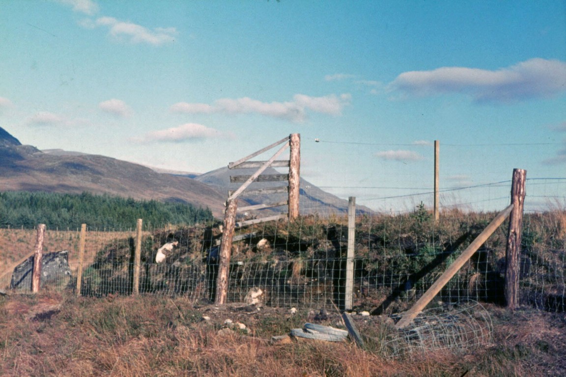 Deer jump, Fersit area of Corrour Forest