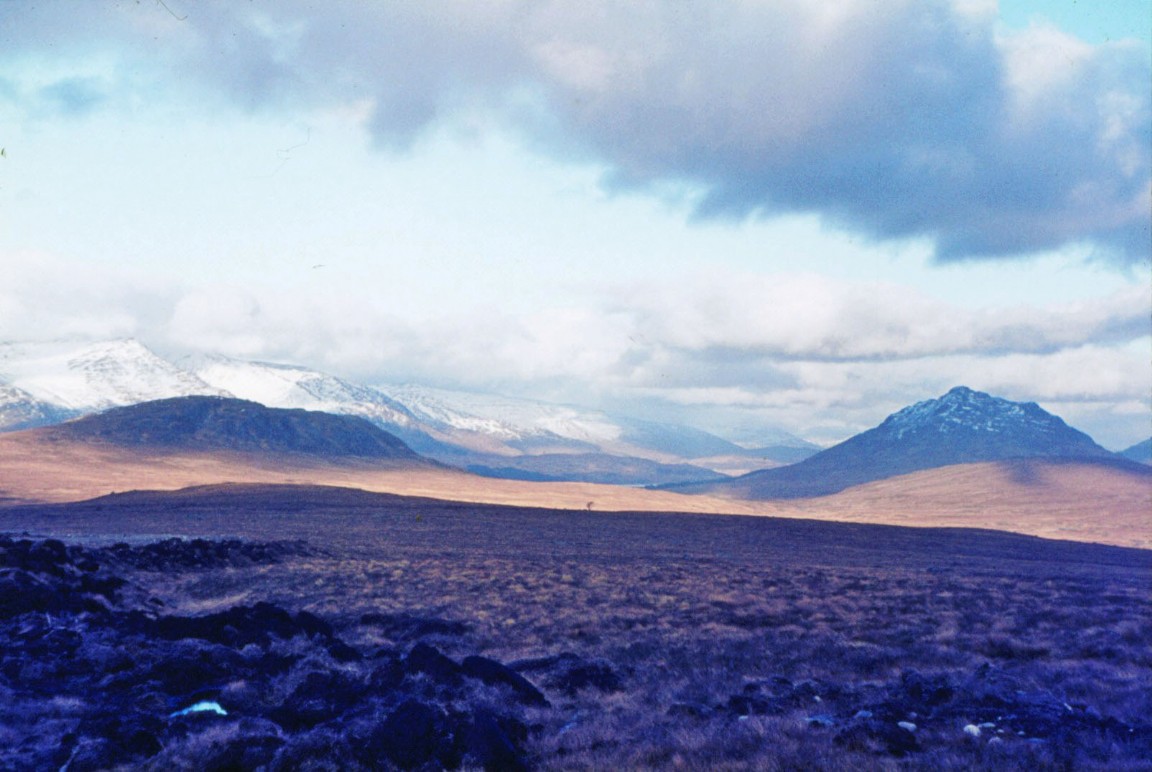 Part of the proposed planting area of Corrour Forest Planted 1970/71