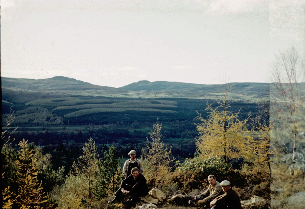 Forest Squad at break time on a view point - Perhshire in the 1960s