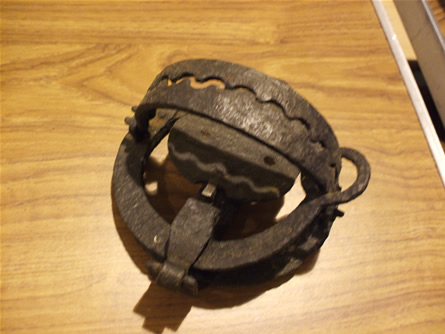 Pole trap