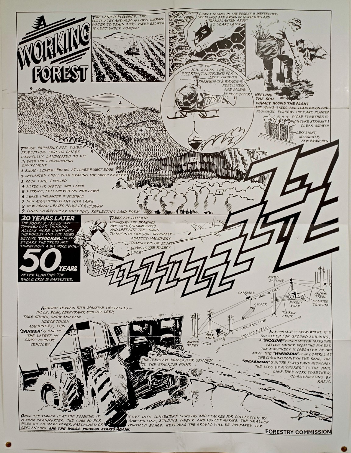 Forestry Commission forestry wall poster circa 1980