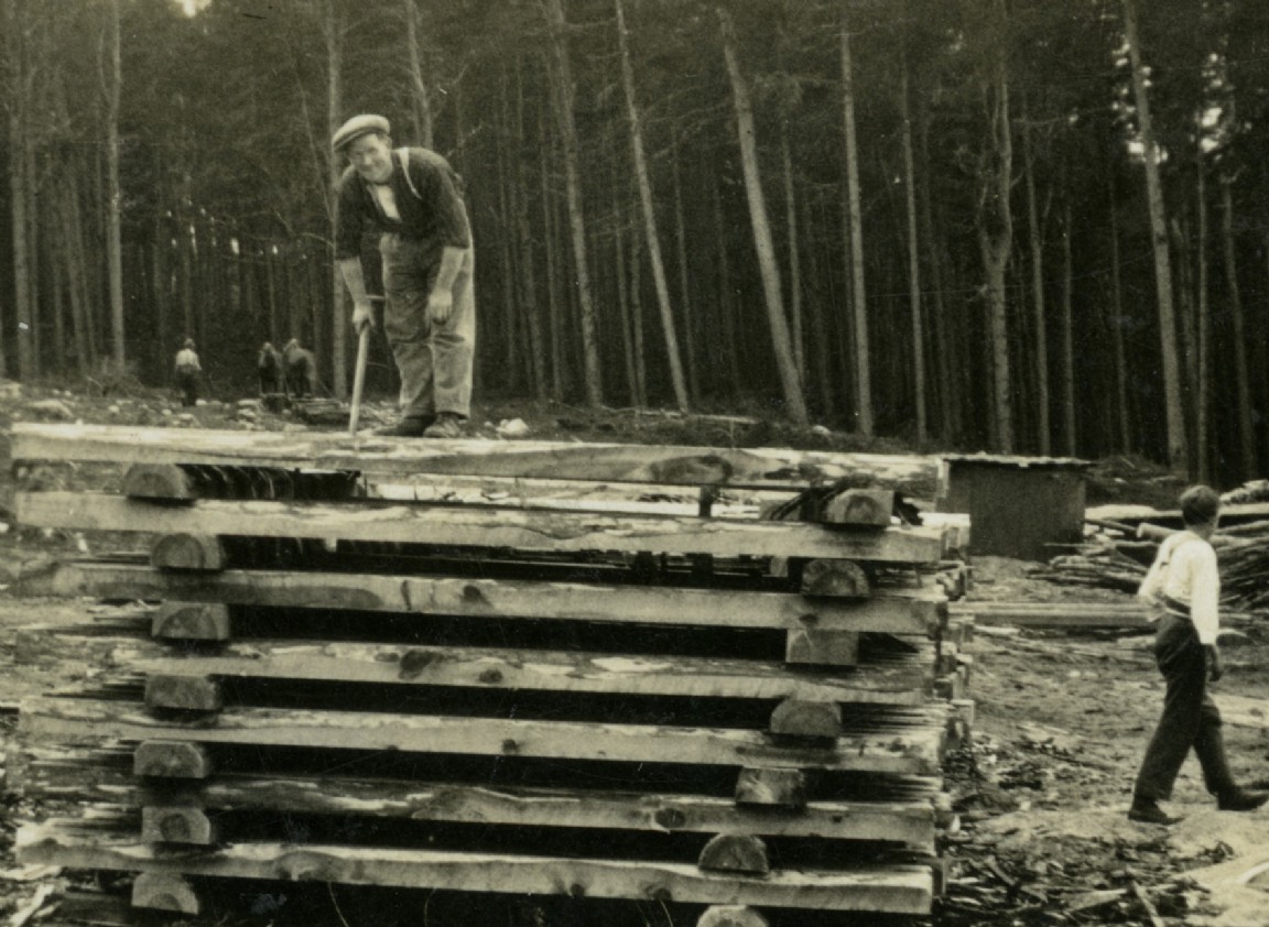 Tommy Inch on a sawn wood stack
