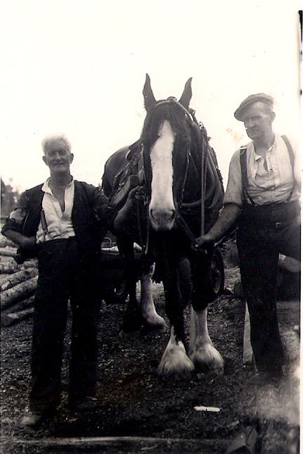 Tommy Inch with a working horse