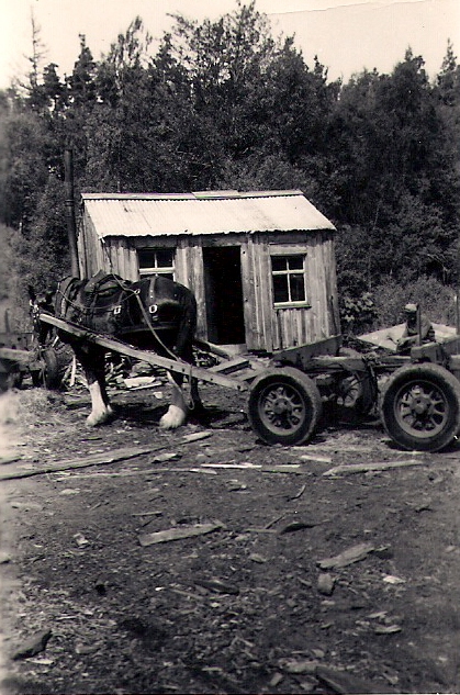 Working horse and cart, Kiltarlity