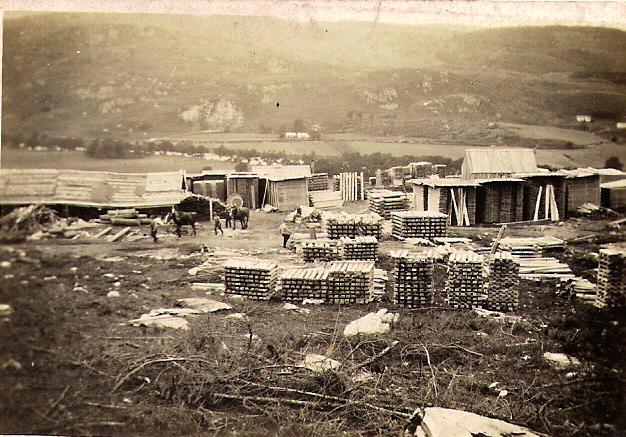 Logging and samill camp, poss Eskadale