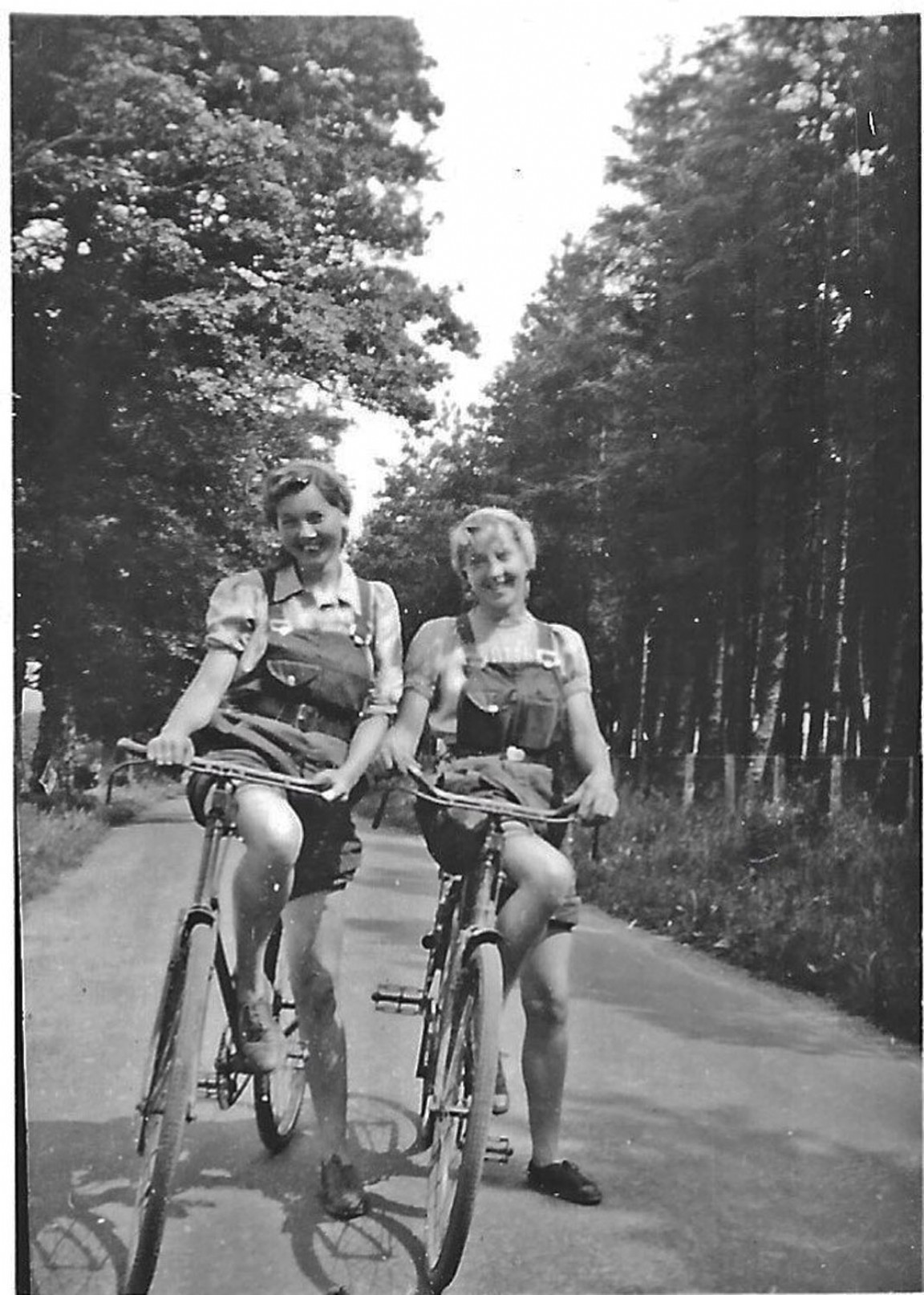 Ladies transport to work at Wauchope Forest nursery