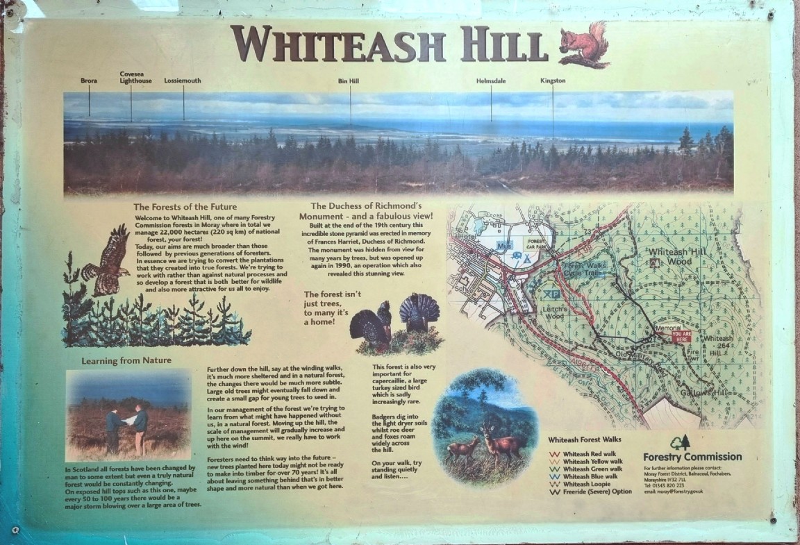 Whiteash Hill Forest information and trail sign - Moray Forest District, Fochabers Area