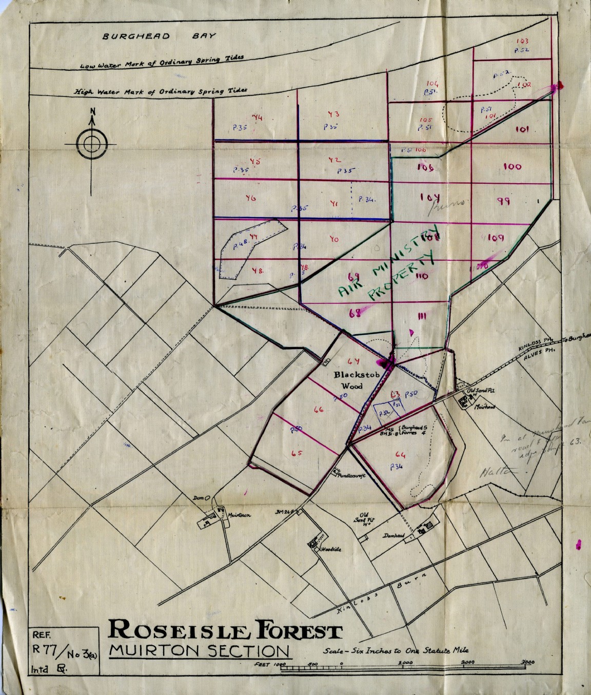 Part of Roseisle Forest planted 1934-1952 