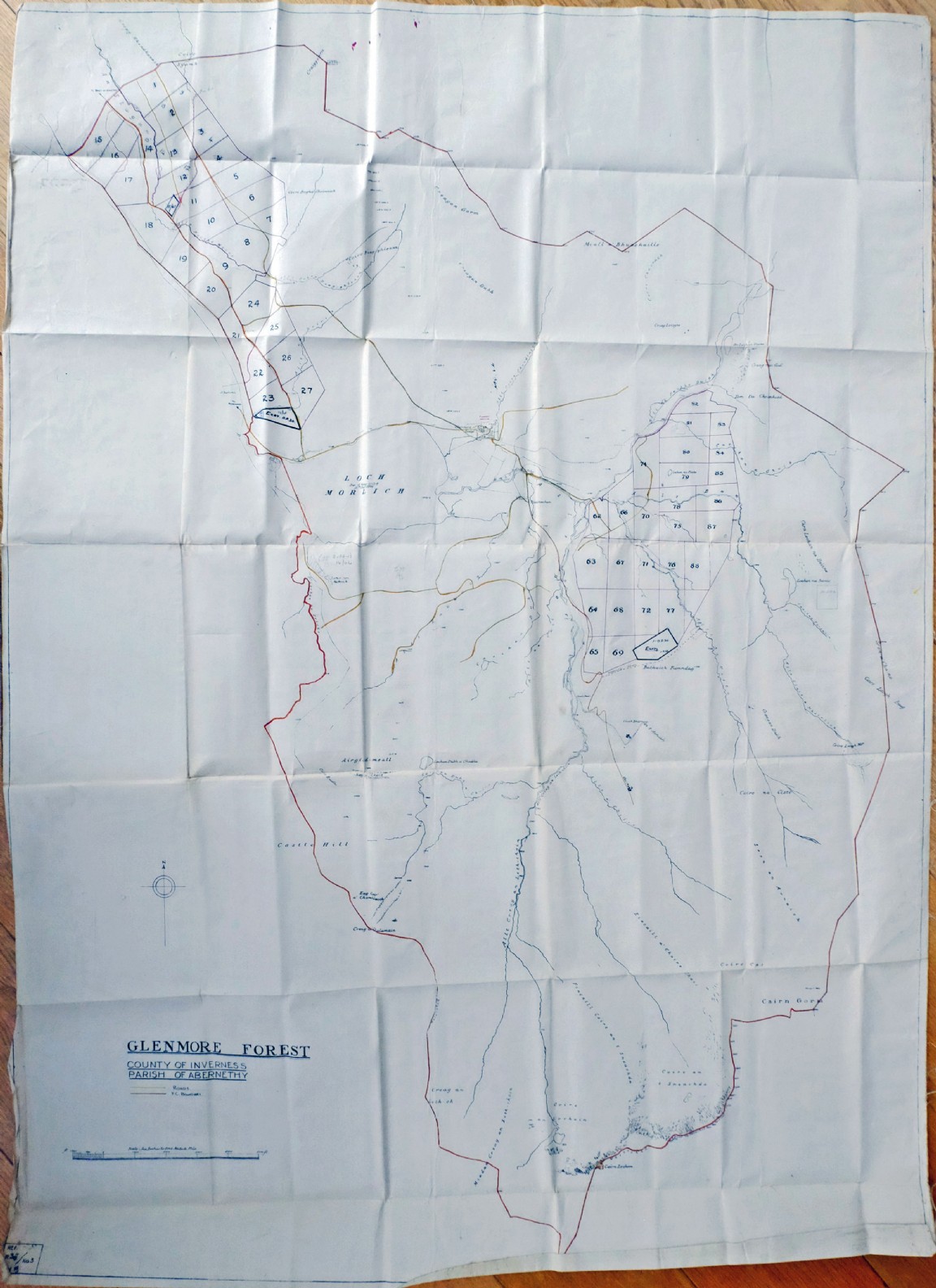 Forest Research plots in Glenmore Forest (Queen�s Forest )
