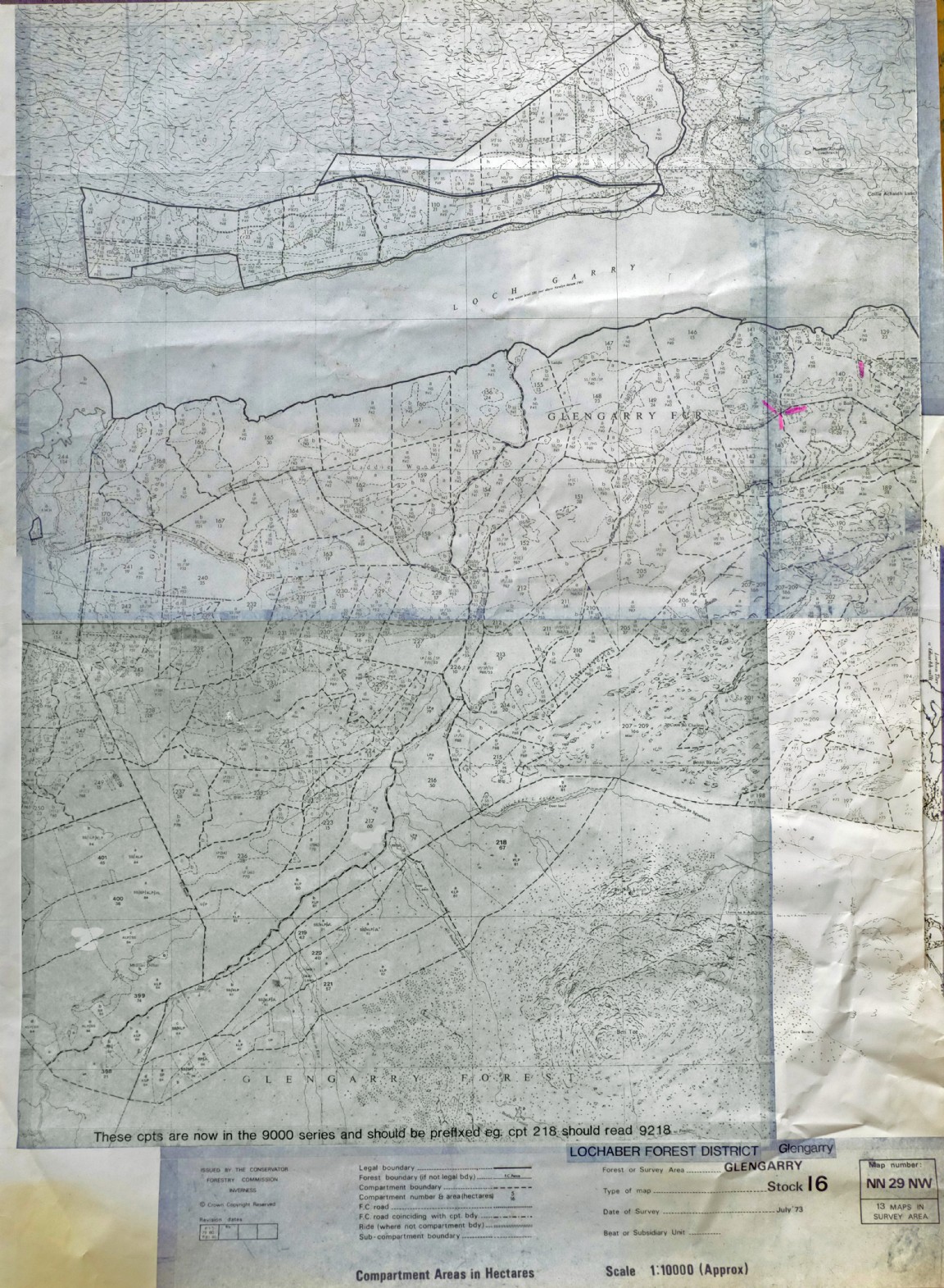 Part of Glengarry Forest  - 1973 Forest survey � last updated 1984