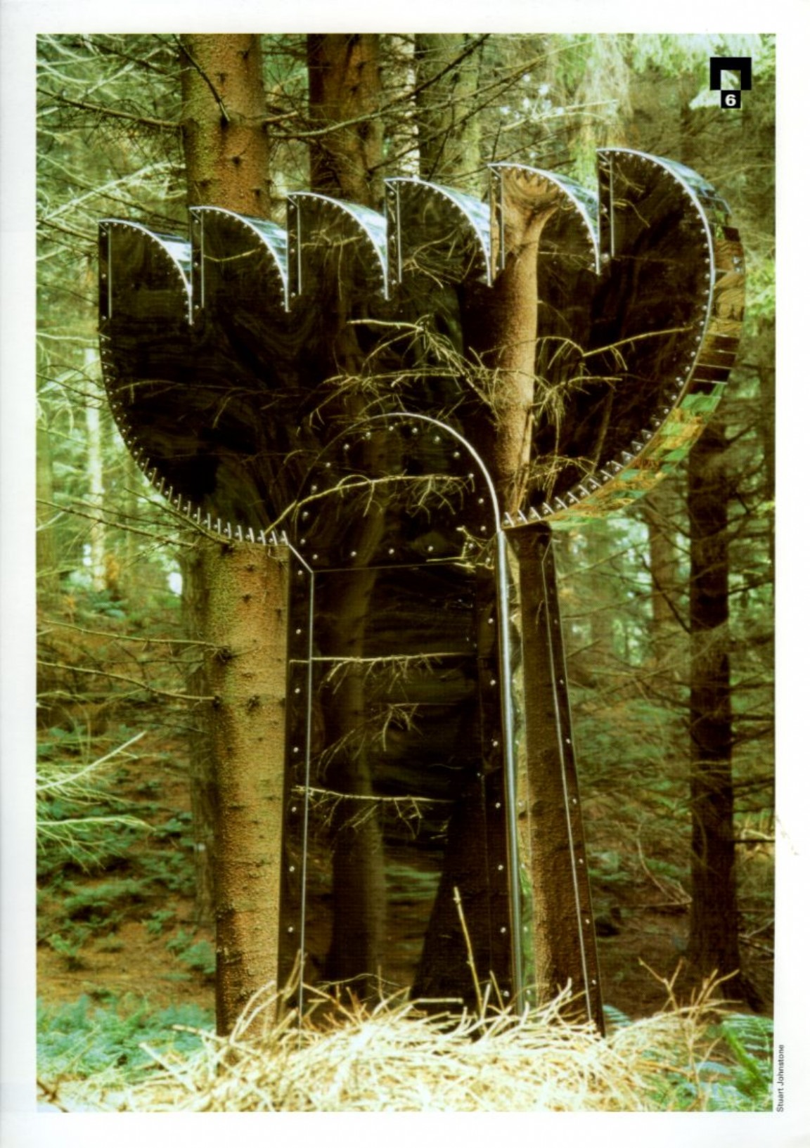 Sculpture at Tyrebagger Forest, Aberdeen � Sculpture trail - Teacher�s Pack 2001