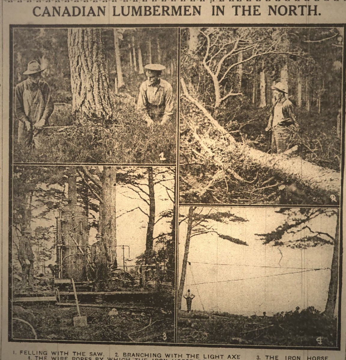 The 120 Company Canadian Forestry Corps in Nairn and Moray in WW1