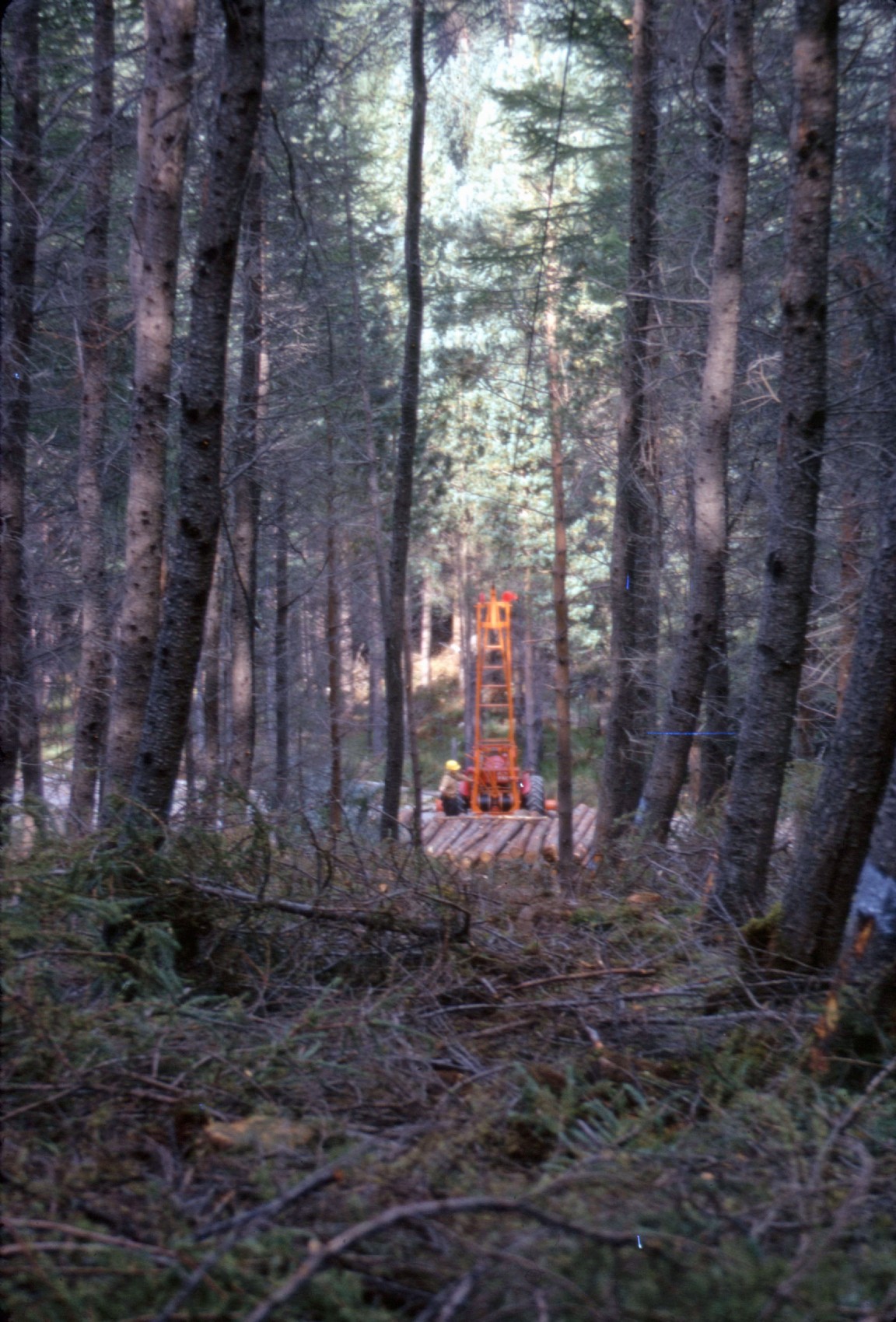 Isachsen winch  working at Lael Forest
