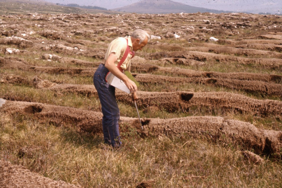 Tubed seedling planting � Possible FC library Image - Circa 1974 possibly