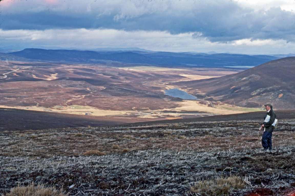 Strathrory pre-planting or acquisition survey � Ardross Forest