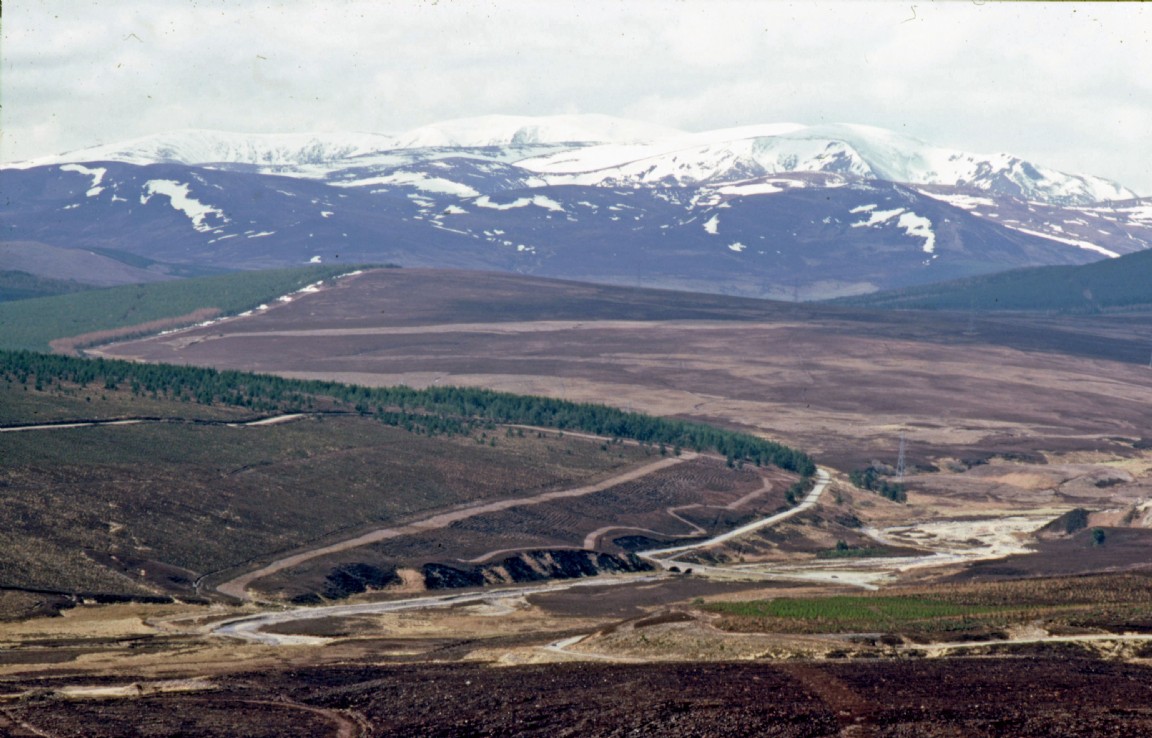 Strathrory part of Ardross Forest � Planting Progress