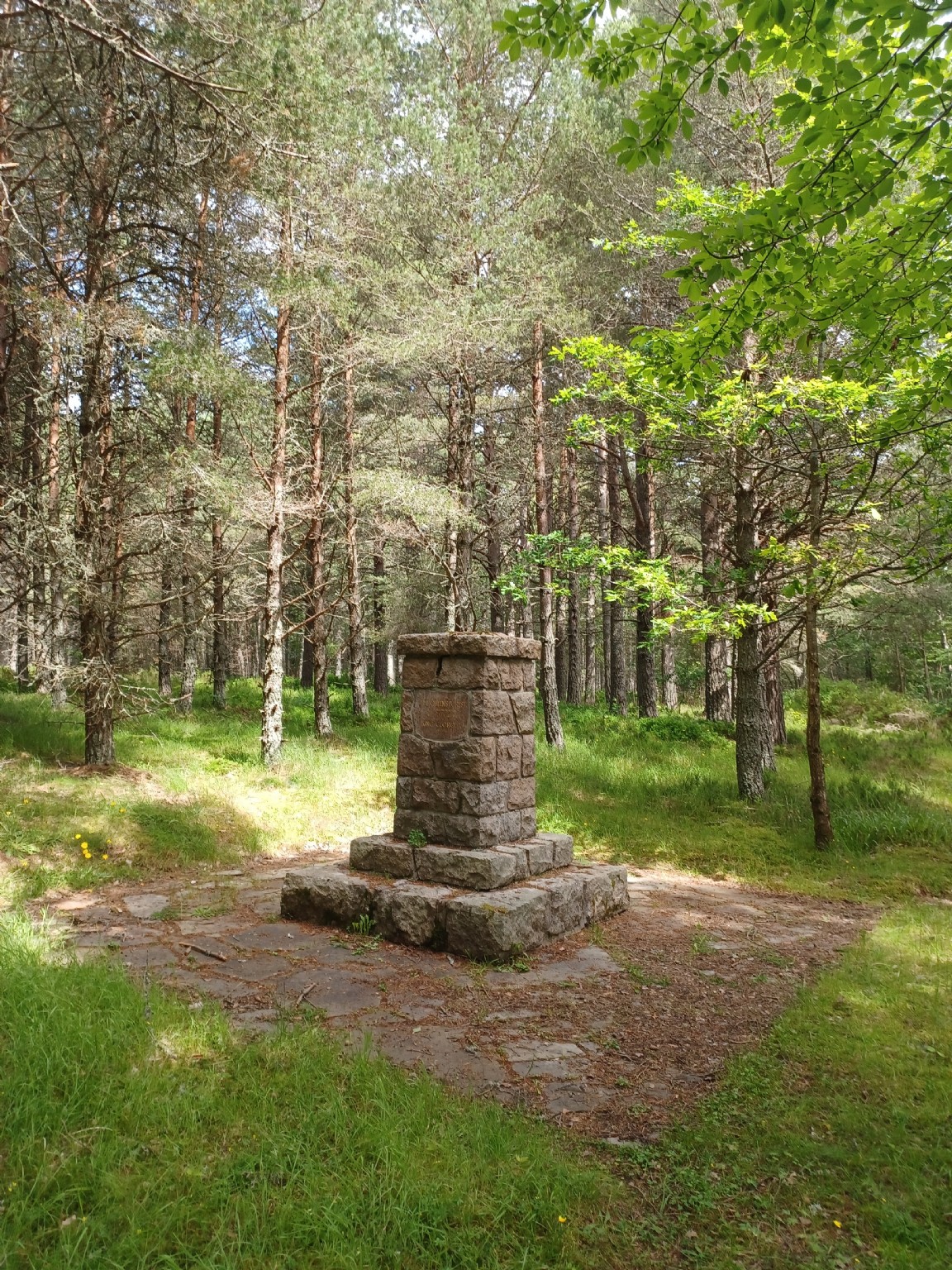 The Queen�s Stone � Glenmore Forest 2024