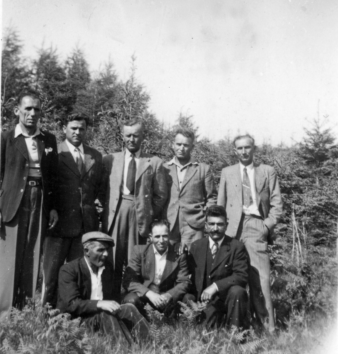 Benmore Forestry School area circa  1950