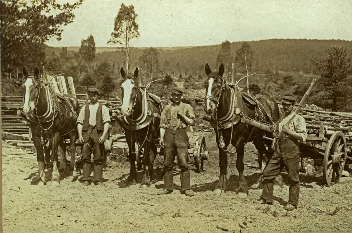 Men and horses, Donside - circa1912