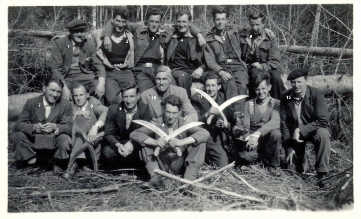 Training Scheme � Glenbranter 1947 most likely Darnaway Woodmen and foresters Course 1948