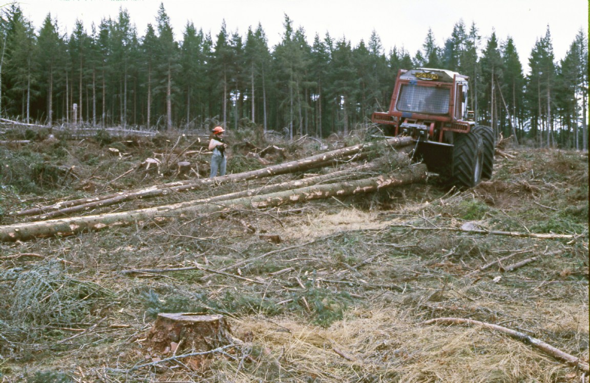 Moray Forest District office staff day out visiting a forest harvesting site