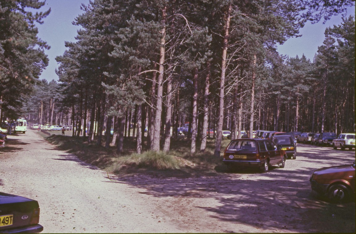 Well filled forest car park � Roseisle  Forest