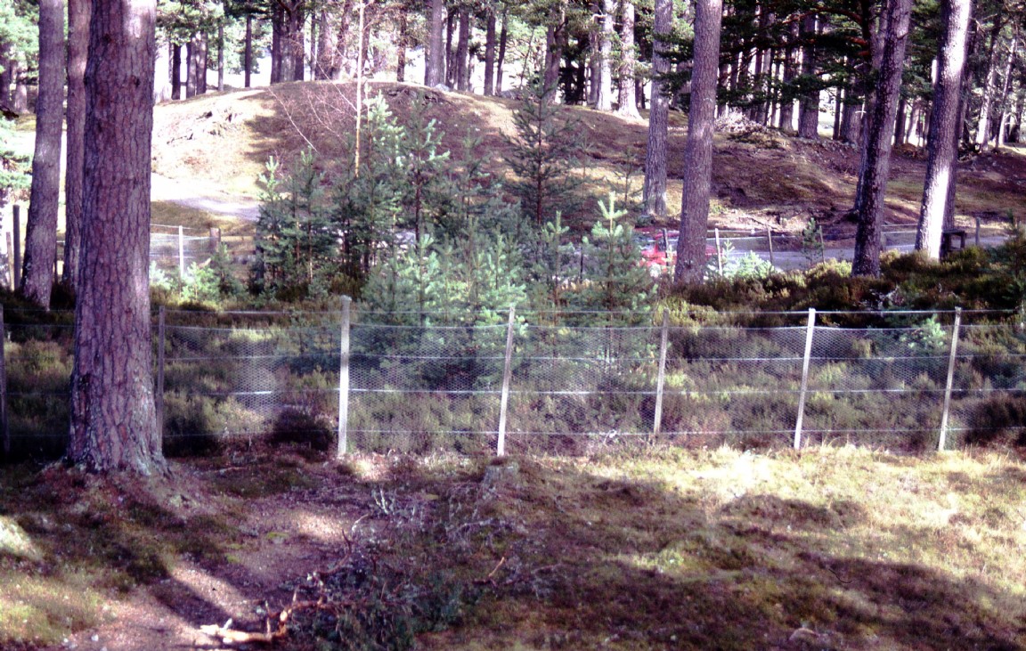 Small fenced enclosure on Balmoral Estate � heavily grazed vegetation outside