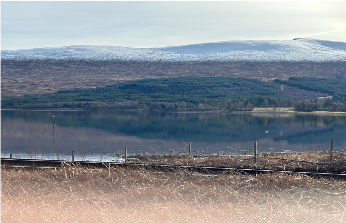 Duisky Plantation � Locheil side, Lochaber 1990s
