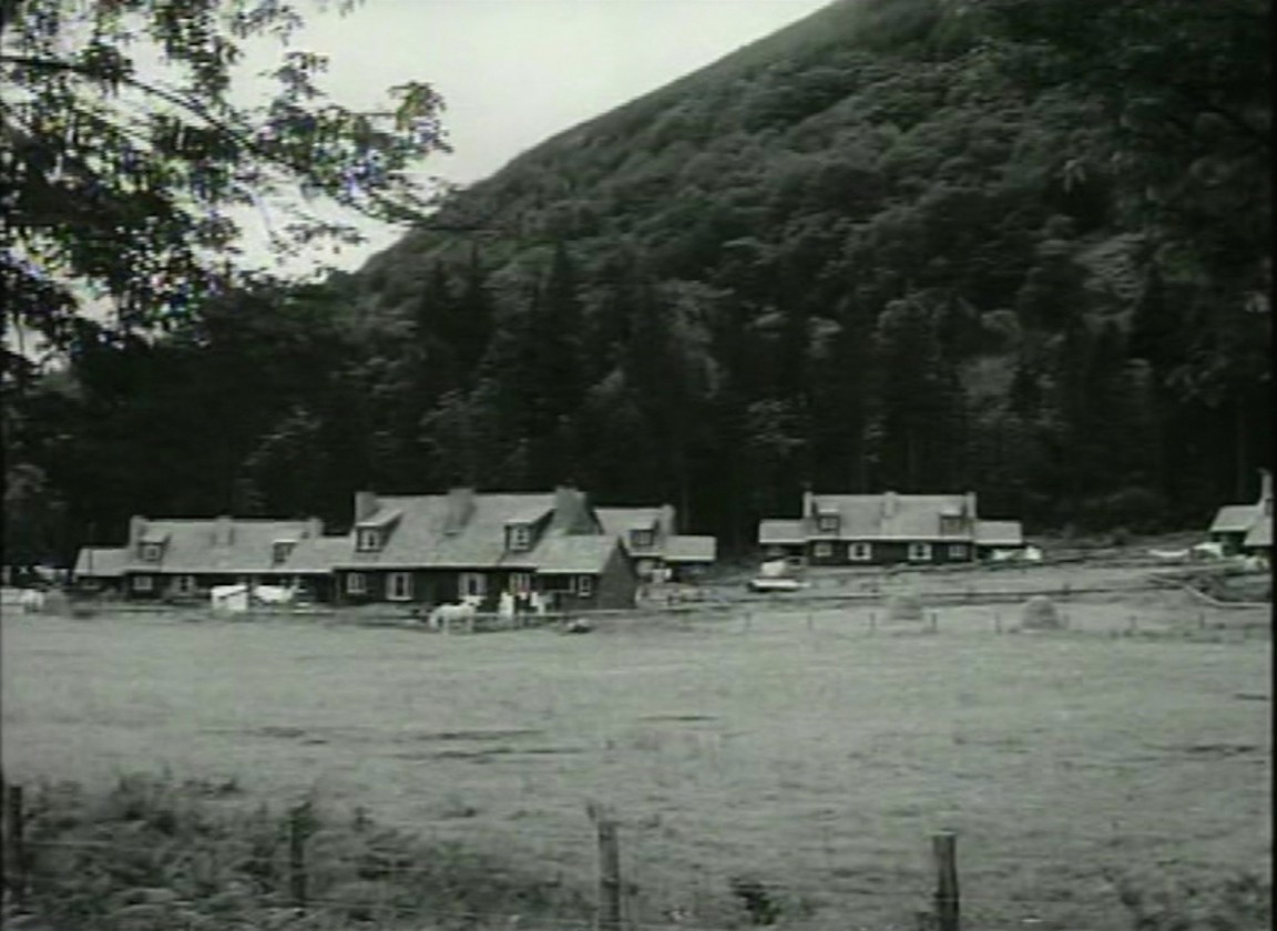 Can you identify the forestry houses location?