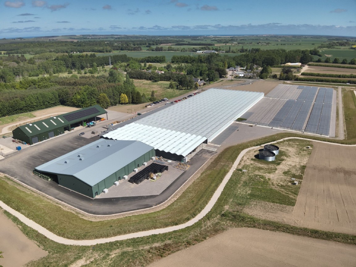 Newton Nursery 2025 - Major upgrade and expansion - and going on towards its century!
