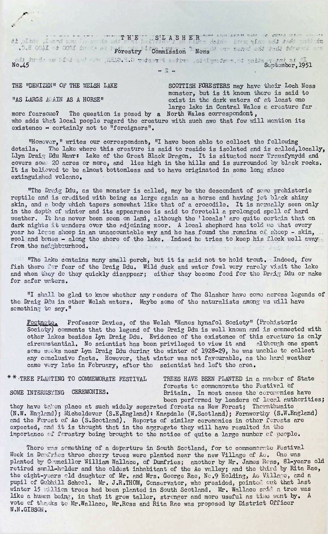 Slasher Magazine Summary: Publication No. 45 - September 1951