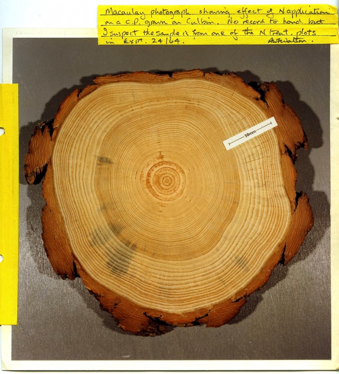 Series of documents on nutrition investigations in Culbin Forest