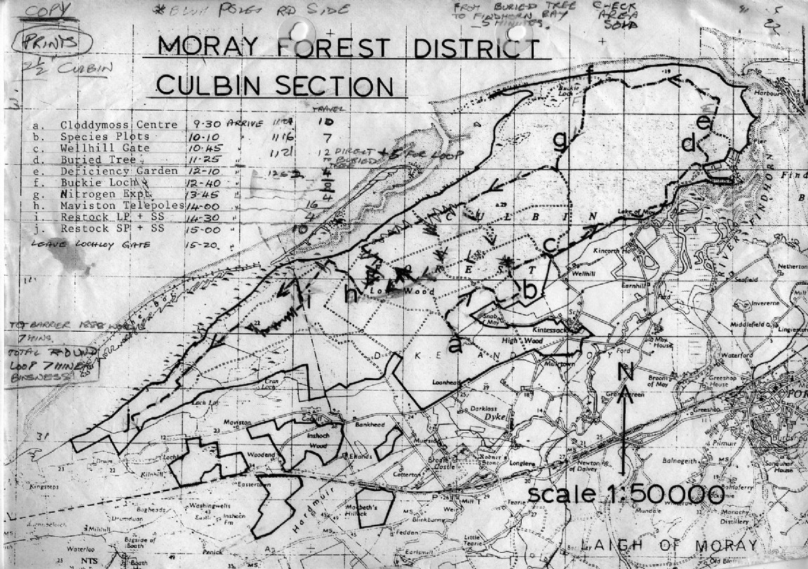 Cubin Forest History updated to 1983 by Struan Stewart, Chief Forester